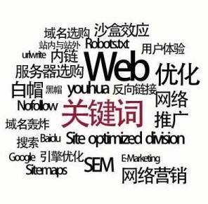 专业术语中seo的意思是什么
