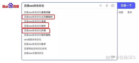 专业百度seo排名优化